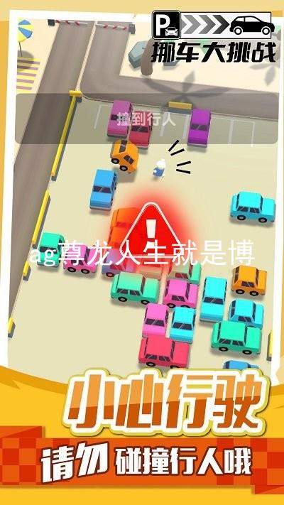 ag尊龙人生就是博