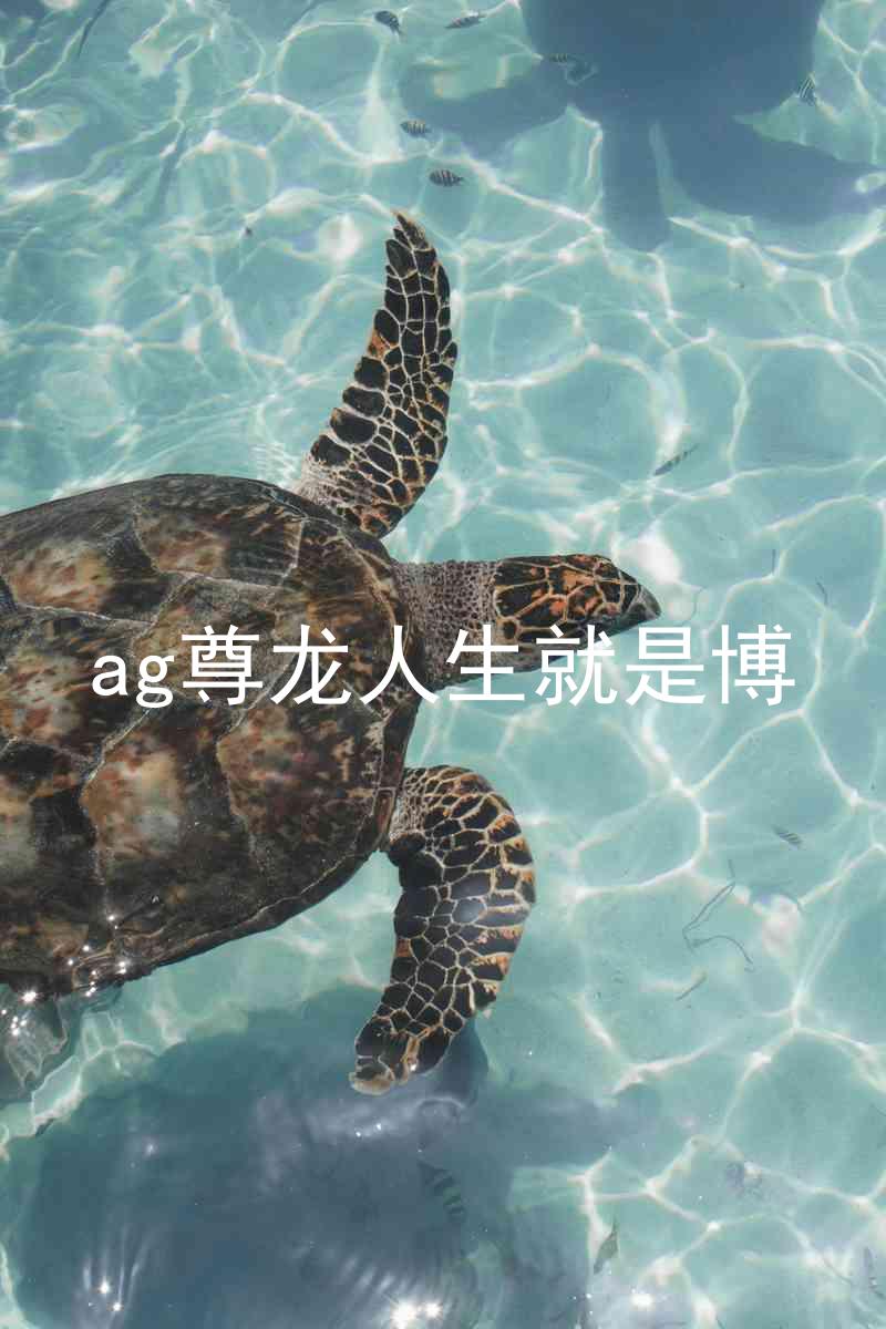 ag尊龙人生就是博