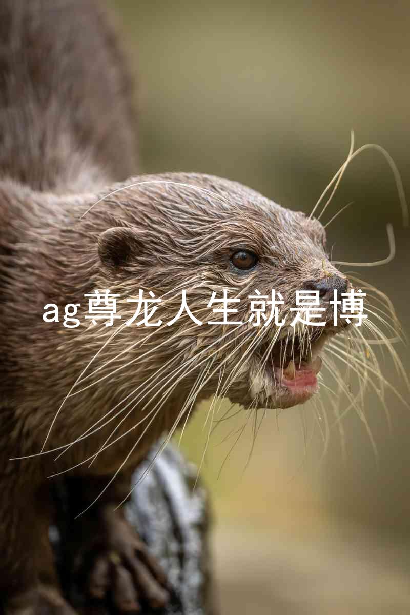 ag尊龙人生就是博